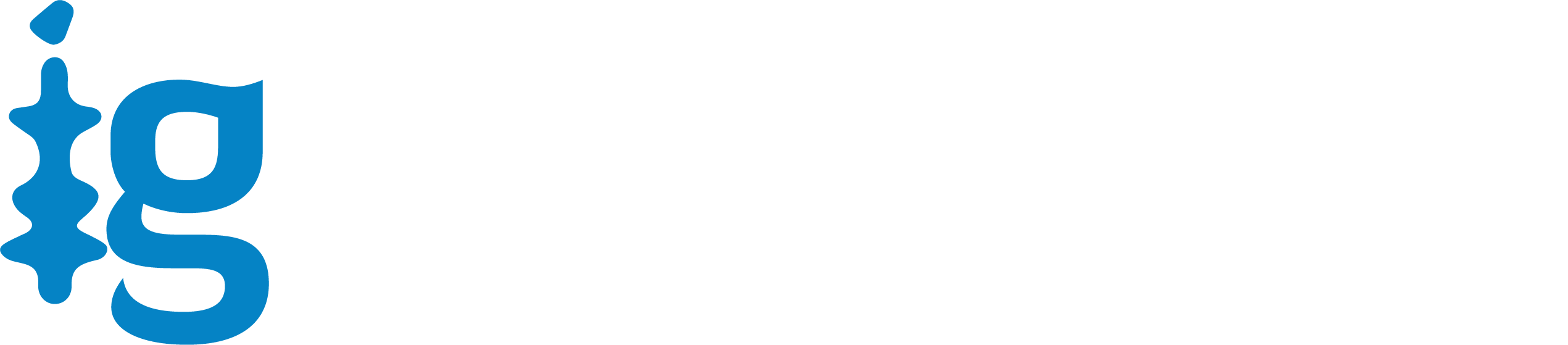 Intellect Group